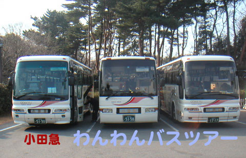 bus_trio.jpg
